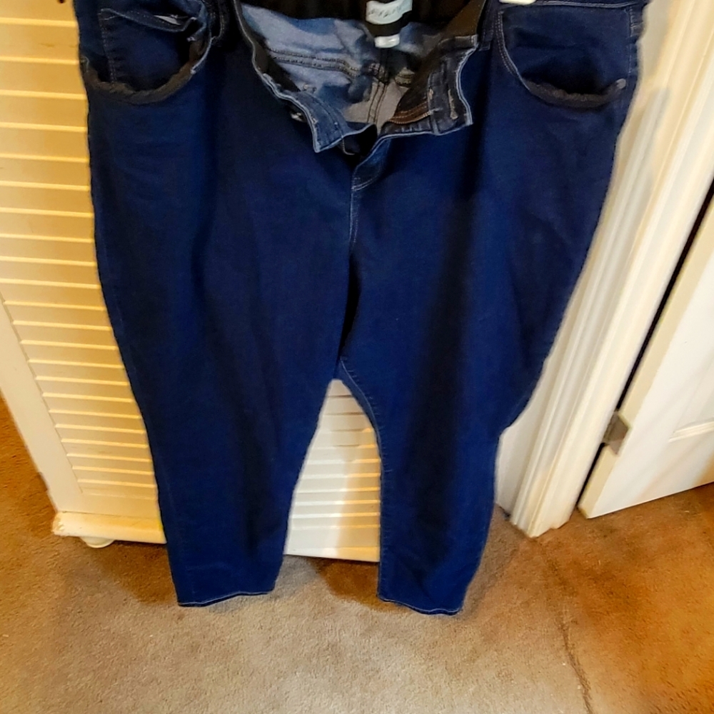 AVA VIV Plus Sized Jeans.